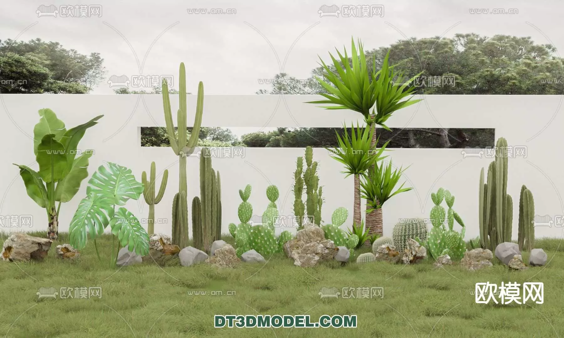 PLANT – CACTUS 3DMODELS – 110