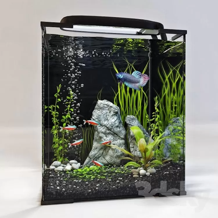 Architecture – 3D Models – aquarium