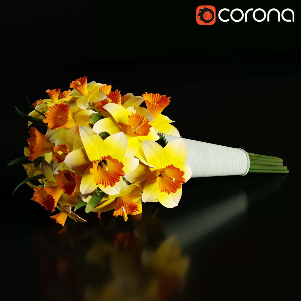 3DSKY PRO MODELS – 484