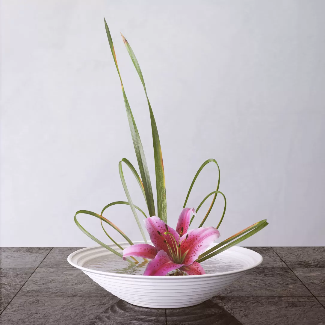 3DSKY PRO MODELS – 609