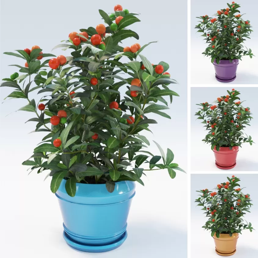 3DSKY PRO MODELS – 660