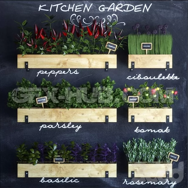 3DSKY PRO MODELS – 961