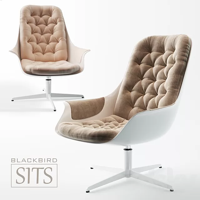 Armchair 3D Models – Armchair Blackbird Sits 3D Model Armchair 3D Models – Armchair Blackbird Sits 3D Model