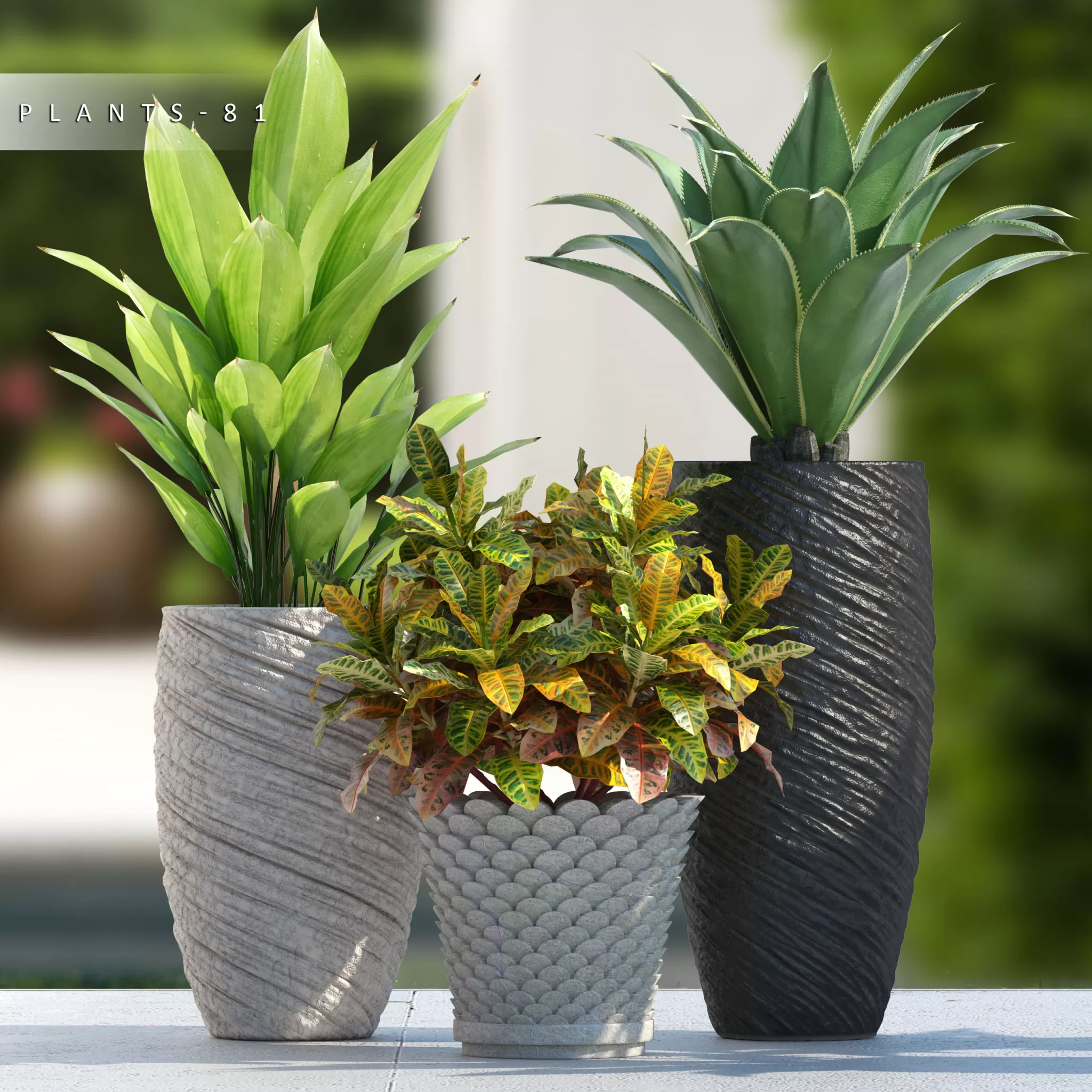 3DSKY PRO MODELS – 1146