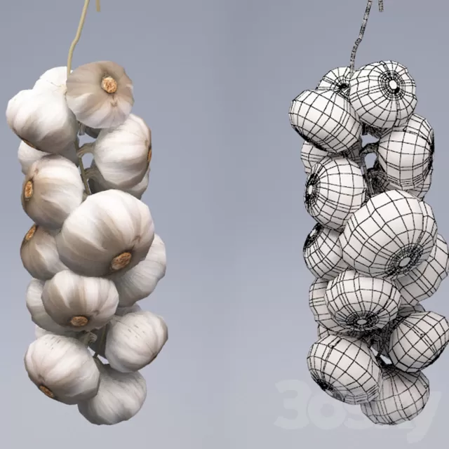 Kitchen – Foods – Drink 3D Models – Garlic
