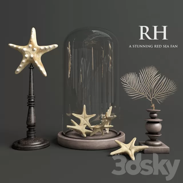Decorative – Set – 3D Models – A stunning red sea fan Restoration Hardware Decorative – Set – 3D Models – A stunning red sea fan Restoration Hardware
