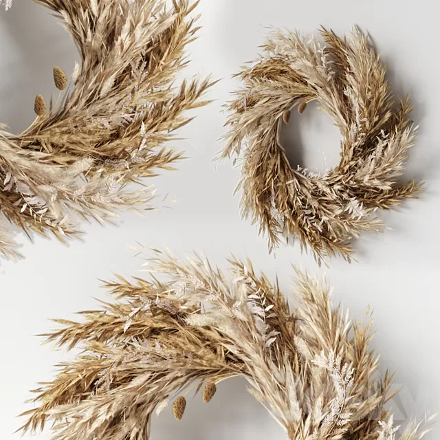 Decorative – Set – 3D Models – Wall hanging Pampas Ring-02