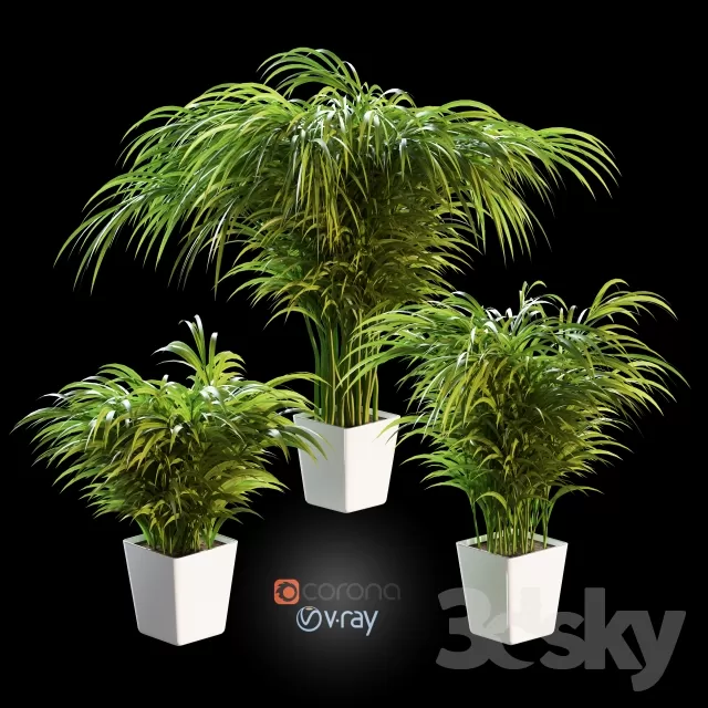 Plants – Flowers – 3D Models Download – 0003