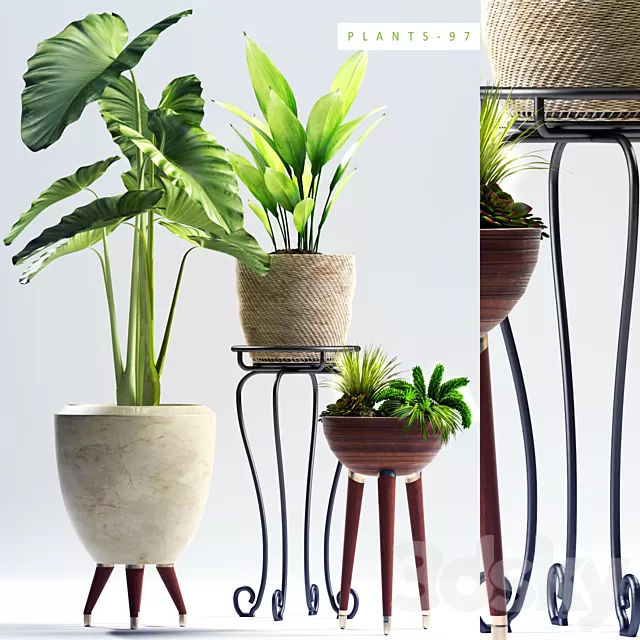 Plants – Flowers – 3D Models Download – 0004