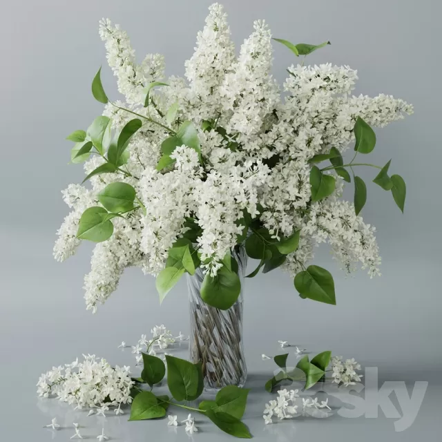 Plants – Flowers – 3D Models Download – 0013 Plants – Flowers – 3D Models Download – 0013