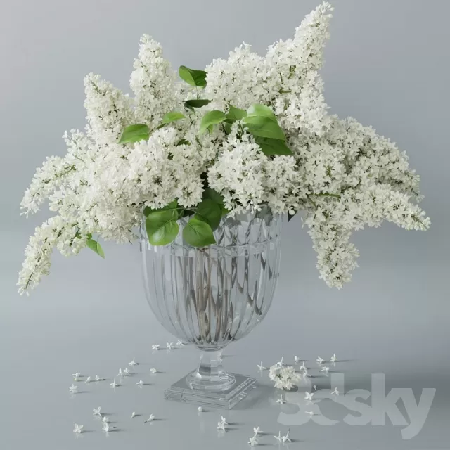 Plants – Flowers – 3D Models Download – 0014 Plants – Flowers – 3D Models Download – 0014
