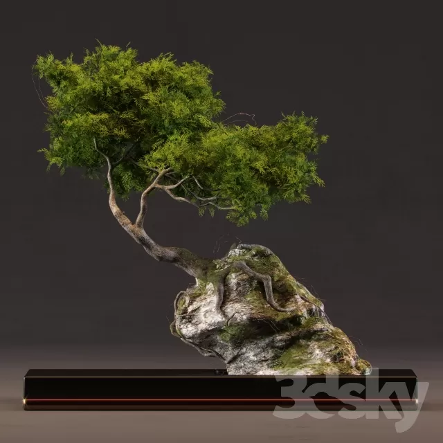 Plants – Flowers – 3D Models Download – 0023 Plants – Flowers – 3D Models Download – 0023