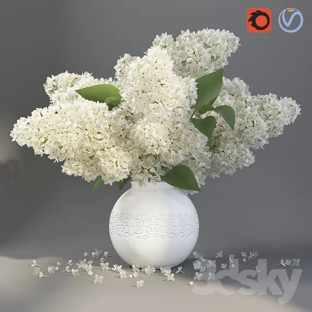 Plants – Flowers – 3D Models Download – 0024 Plants – Flowers – 3D Models Download – 0024