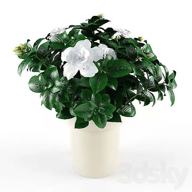 Plants – Flowers – 3D Models Download – 0041 Plants – Flowers – 3D Models Download – 0041