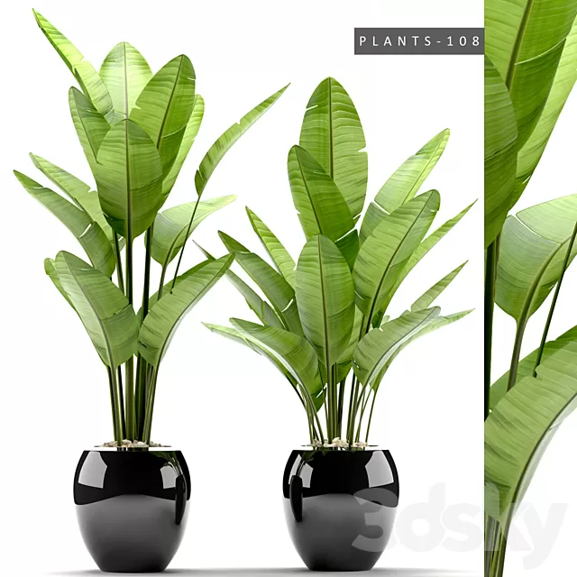 Plants – Flowers – 3D Models Download – 0044 Plants – Flowers – 3D Models Download – 0044