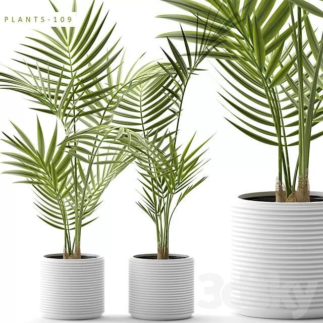 Plants – Flowers – 3D Models Download – 0046 Plants – Flowers – 3D Models Download – 0046