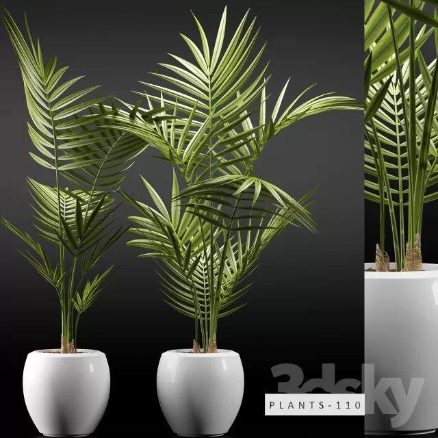Plants – Flowers – 3D Models Download – 0051 Plants – Flowers – 3D Models Download – 0051