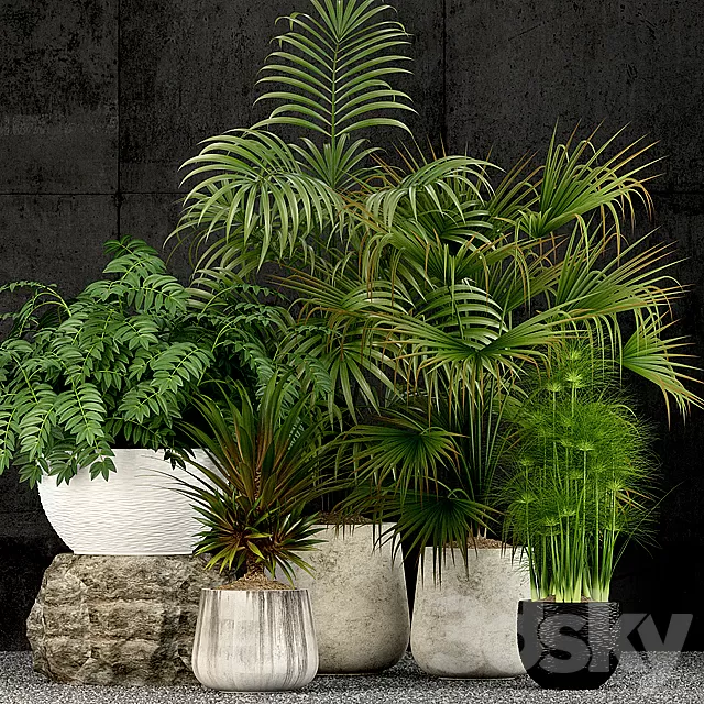 Plants – Flowers – 3D Models Download – 0062 Plants – Flowers – 3D Models Download – 0062