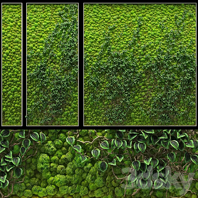 Plants – Flowers – 3D Models Download – 0069 Plants – Flowers – 3D Models Download – 0069