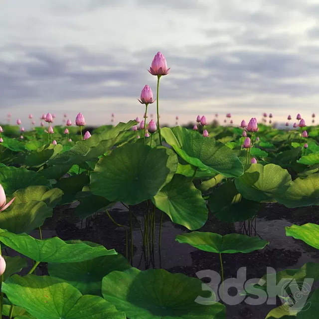 Plants – Flowers – 3D Models Download – 0075 Plants – Flowers – 3D Models Download – 0075