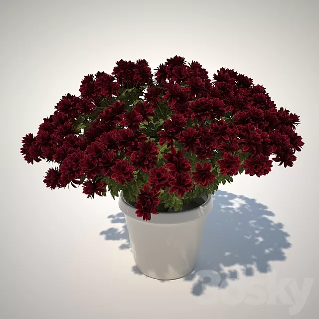 Plants – Flowers – 3D Models Download – 0078 Plants – Flowers – 3D Models Download – 0078