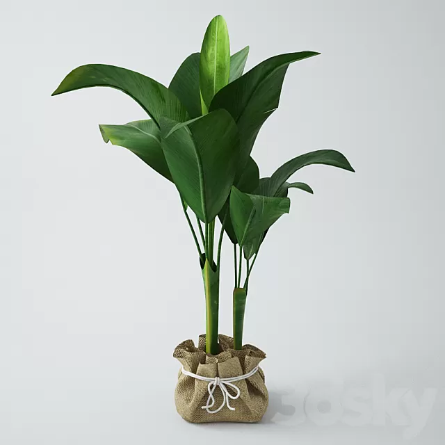 Plants – Flowers – 3D Models Download – 0083 Plants – Flowers – 3D Models Download – 0083