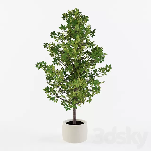 Plants – Flowers – 3D Models Download – 0086 Plants – Flowers – 3D Models Download – 0086