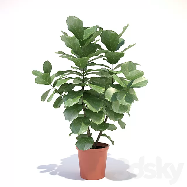 Plants – Flowers – 3D Models Download – 0089 Plants – Flowers – 3D Models Download – 0089