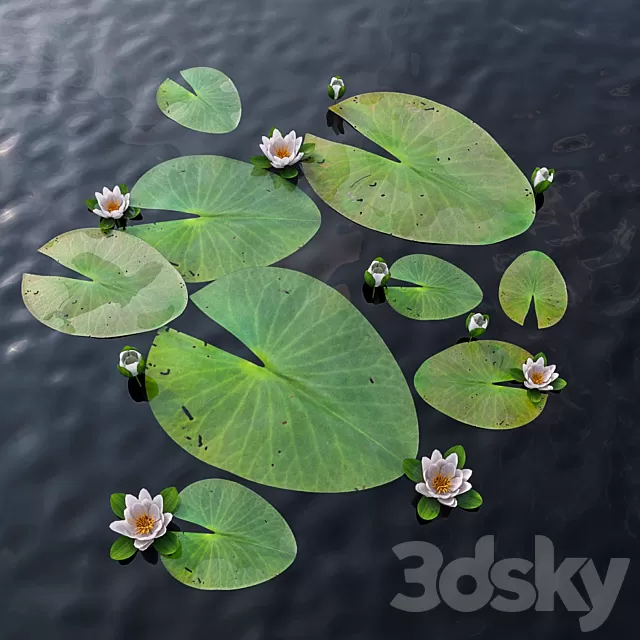 Plants – Flowers – 3D Models Download – 0093 Plants – Flowers – 3D Models Download – 0093