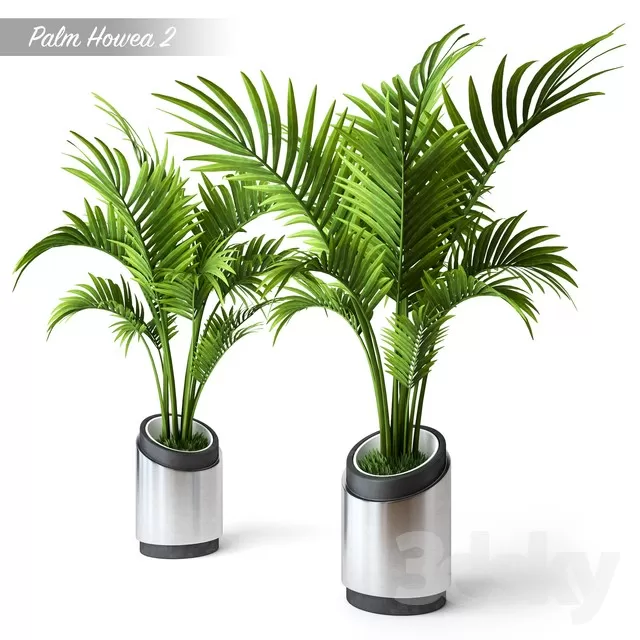 Plants – Flowers – 3D Models Download – 0112 Plants – Flowers – 3D Models Download – 0112