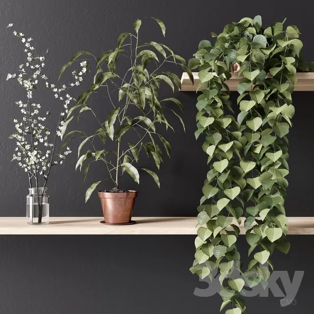 Plants – Flowers – 3D Models Download – 0126 Plants – Flowers – 3D Models Download – 0126