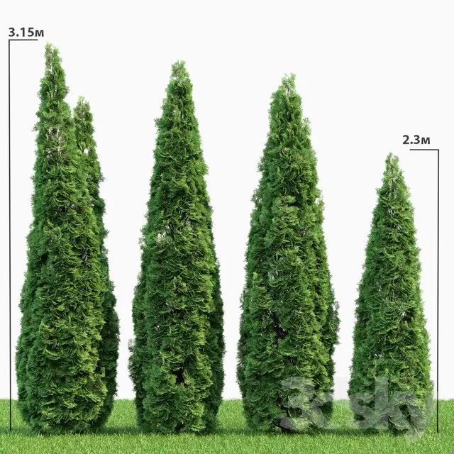 3DSKY PRO MODELS – 1630