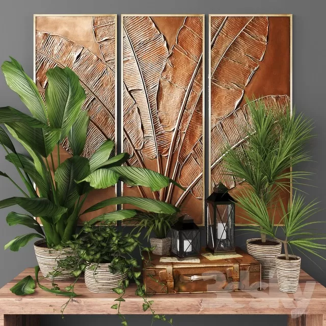 Plants – Flowers – 3D Models Download – 0167 Plants – Flowers – 3D Models Download – 0167