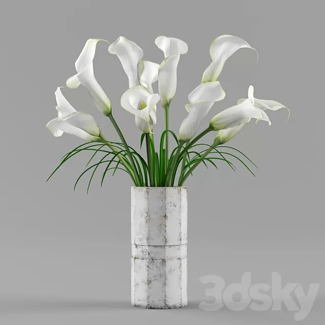 Plants – Flowers – 3D Models Download – 0185 Plants – Flowers – 3D Models Download – 0185