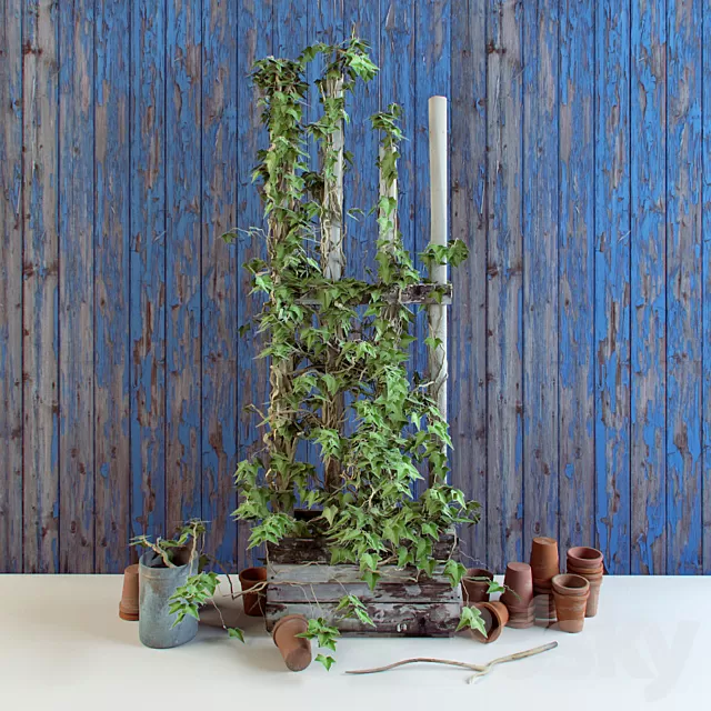 Plants – Flowers – 3D Models Download – 0219 Plants – Flowers – 3D Models Download – 0219