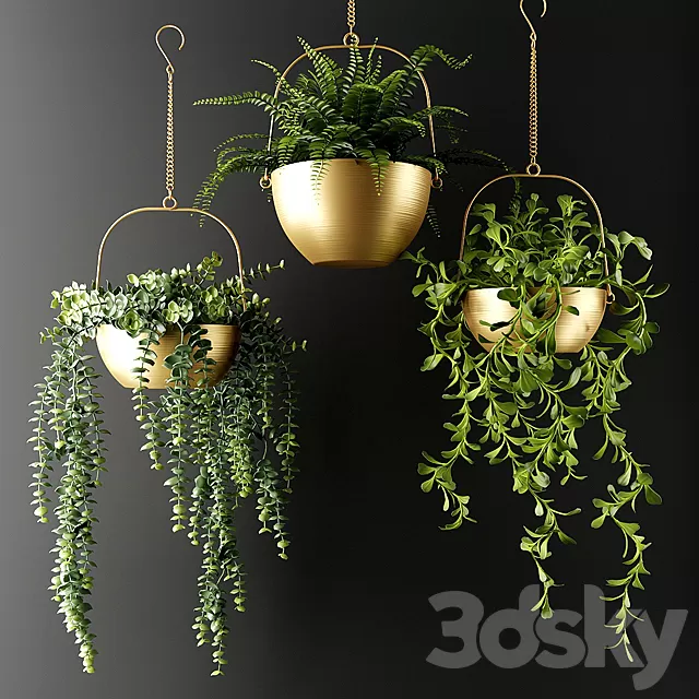 Plants – Flowers – 3D Models Download – 0263 Plants – Flowers – 3D Models Download – 0263