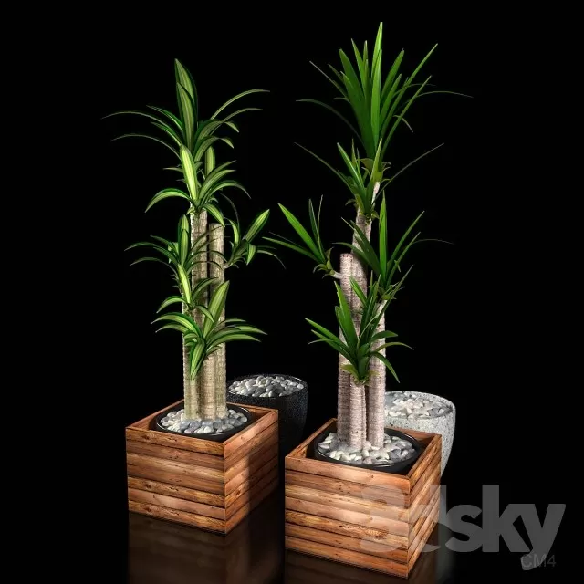 Plants – Flowers – 3D Models Download – 0268 Plants – Flowers – 3D Models Download – 0268