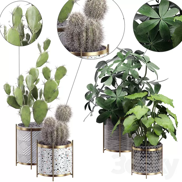 Plants – Flowers – 3D Models Download – 0290 Plants – Flowers – 3D Models Download – 0290