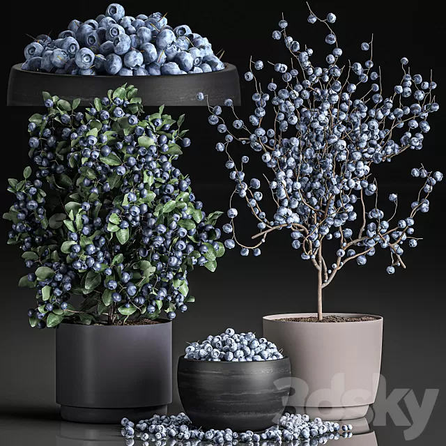 Plants – Flowers – 3D Models Download – 0292 Plants – Flowers – 3D Models Download – 0292