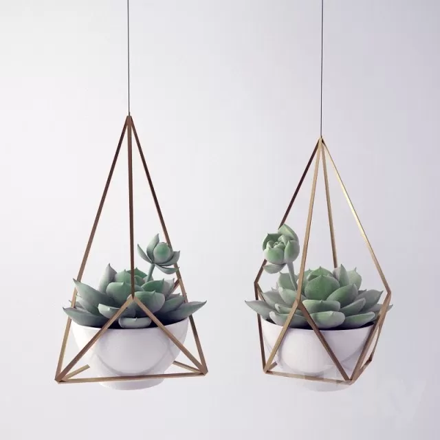 Plants – Flowers – 3D Models Download – 0295 Plants – Flowers – 3D Models Download – 0295