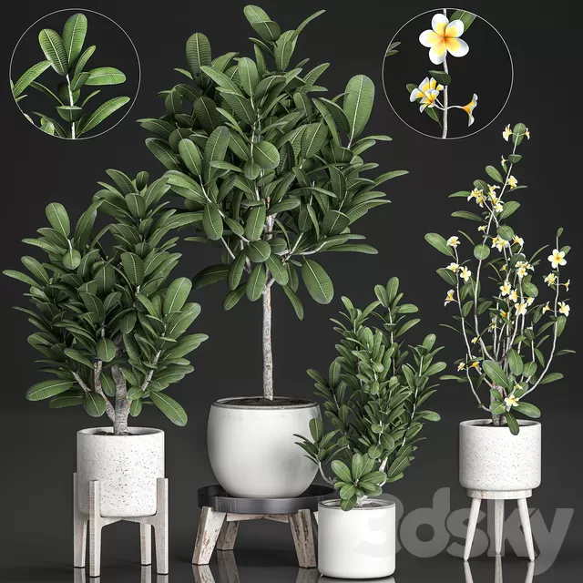 Plants – Flowers – 3D Models Download – 0298 Plants – Flowers – 3D Models Download – 0298
