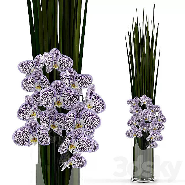 Plants – Flowers – 3D Models Download – 0324 Plants – Flowers – 3D Models Download – 0324