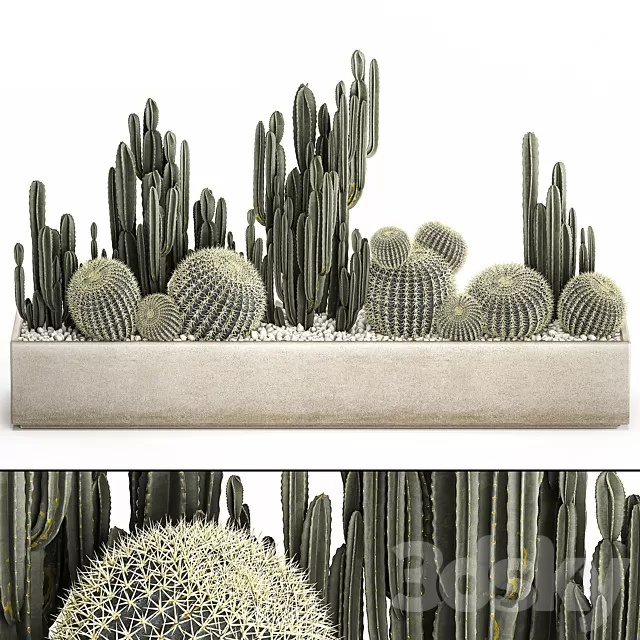 Plants – Flowers – 3D Models Download – 0384 Plants – Flowers – 3D Models Download – 0384
