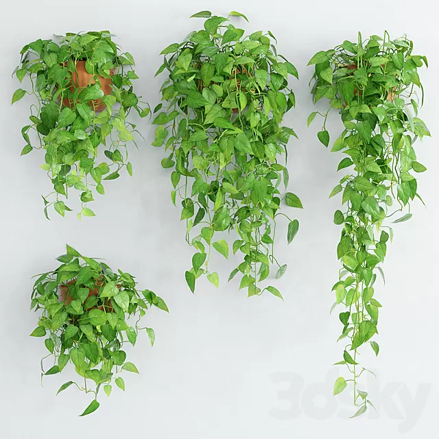 Plants – Flowers – 3D Models Download – 0390 Plants – Flowers – 3D Models Download – 0390