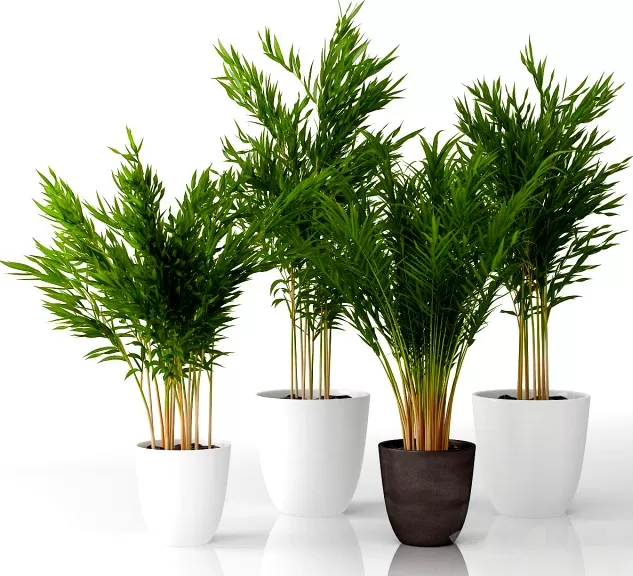 Plants – Flowers – 3D Models Download – 0392 Plants – Flowers – 3D Models Download – 0392