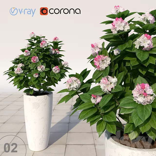 Plants – Flowers – 3D Models Download – 0421 Plants – Flowers – 3D Models Download – 0421