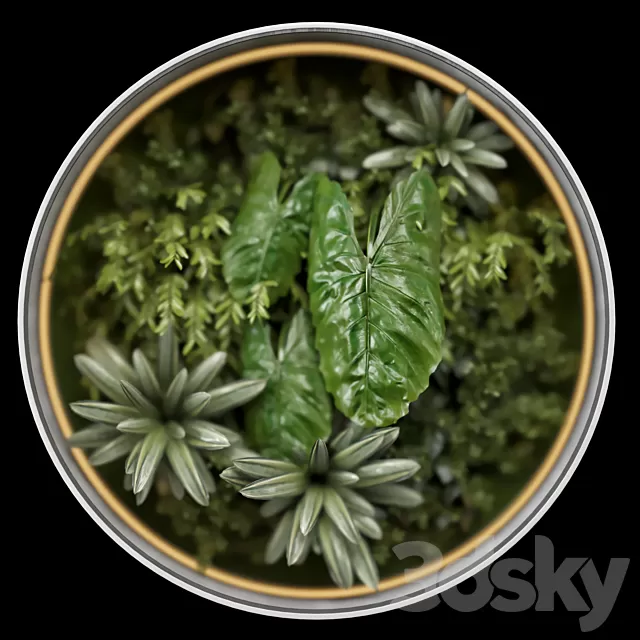 Plants – Flowers – 3D Models Download – 0437 Plants – Flowers – 3D Models Download – 0437