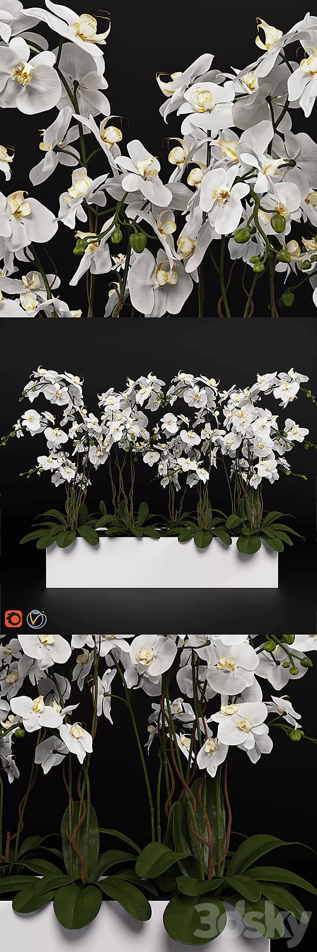 Plants – Flowers – 3D Models Download – 0450 Plants – Flowers – 3D Models Download – 0450