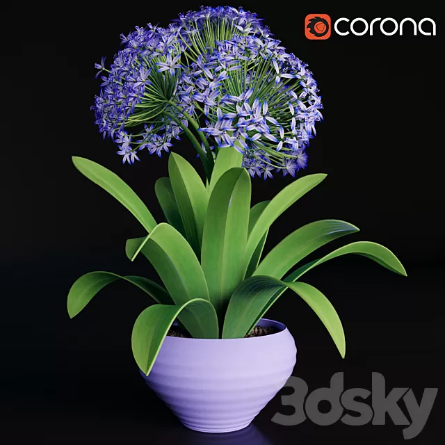 Plants – Flowers – 3D Models Download – 0452 Plants – Flowers – 3D Models Download – 0452