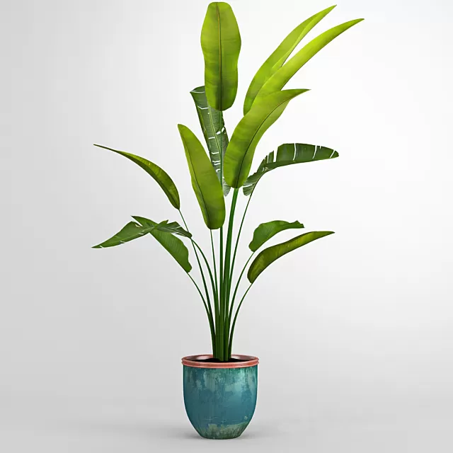 Plants – Flowers – 3D Models Download – 0453 Plants – Flowers – 3D Models Download – 0453
